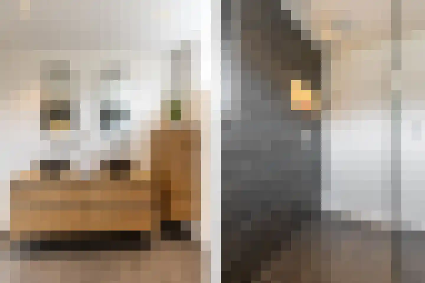 Karekietlaan 3 Oostvoorne thumbnail 26