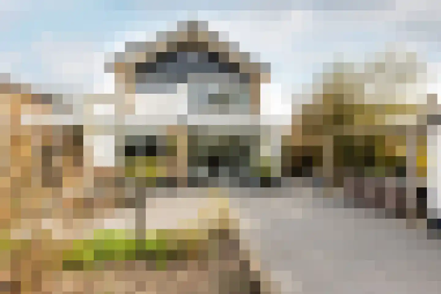 Karekietlaan 3 Oostvoorne thumbnail 34