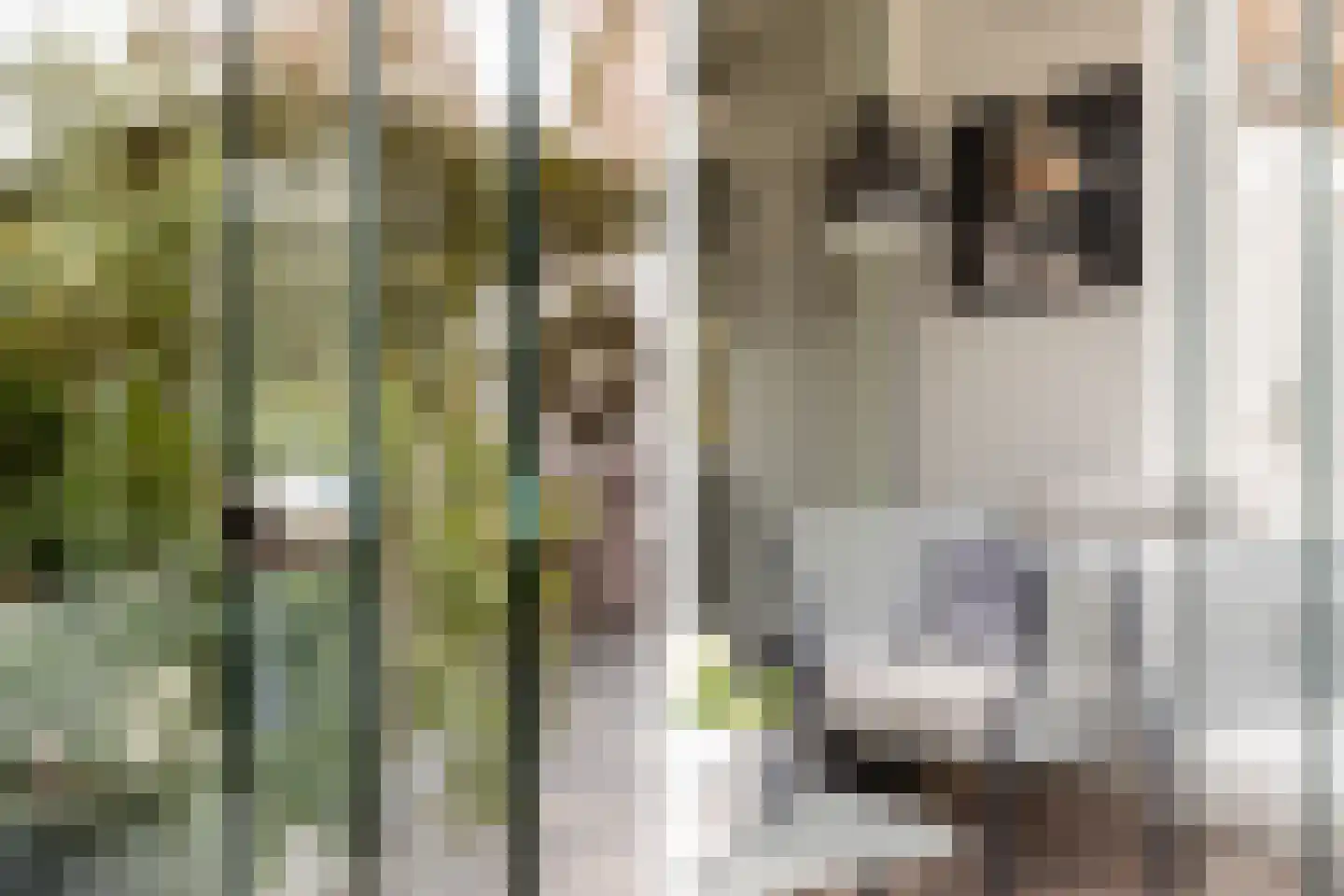 Karekietlaan 3 Oostvoorne thumbnail 36