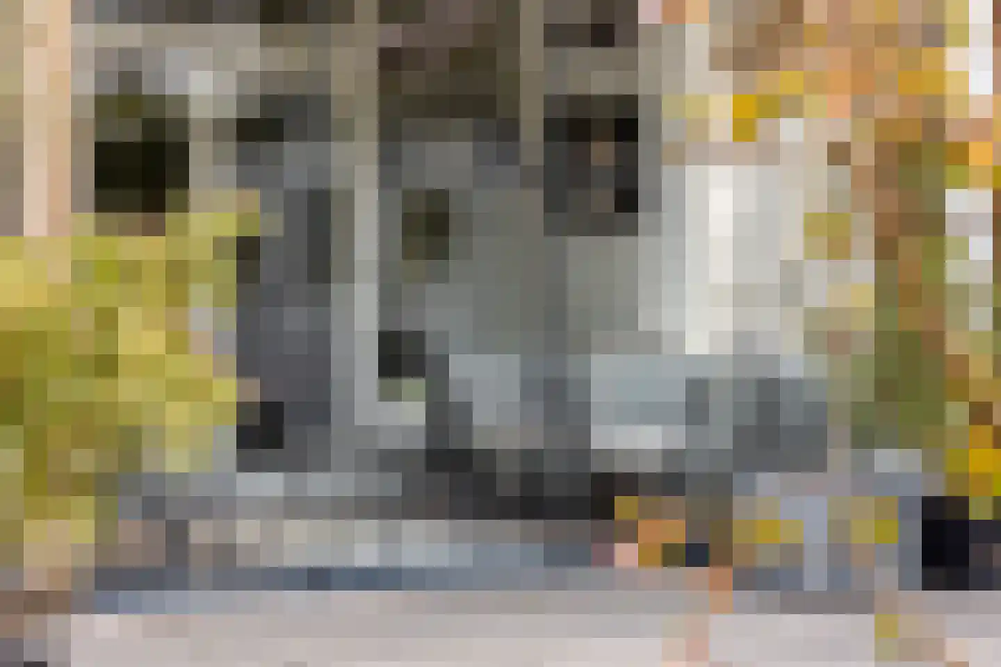 Karekietlaan 3 Oostvoorne thumbnail 39