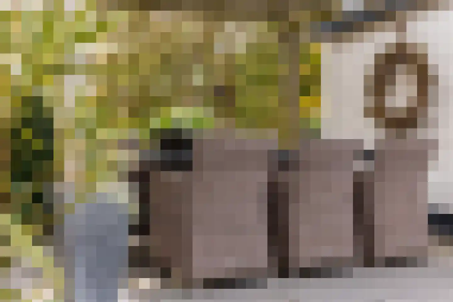Karekietlaan 3 Oostvoorne thumbnail 40