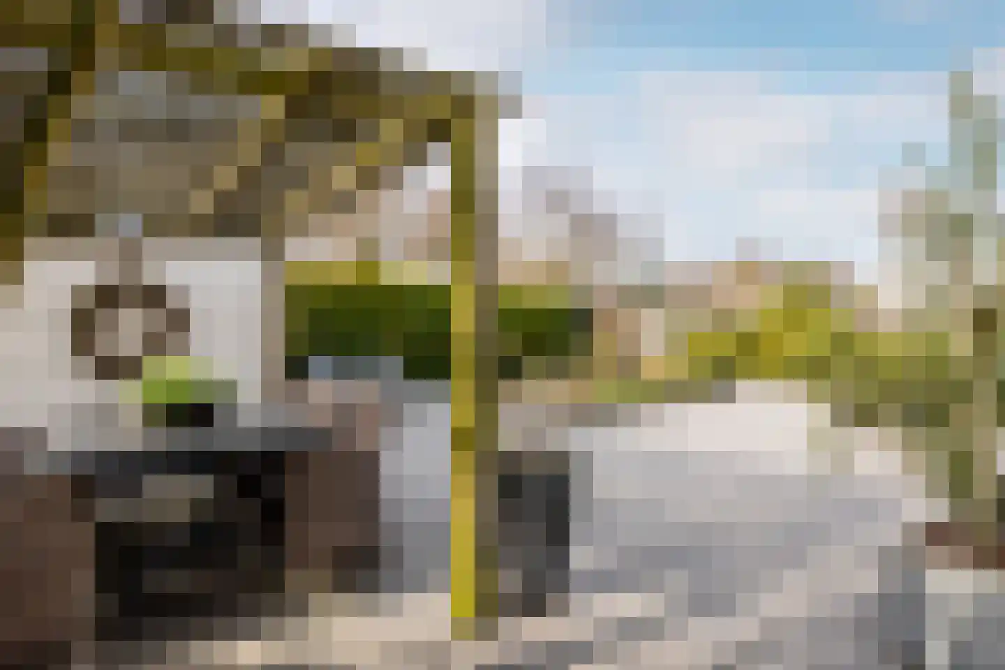 Karekietlaan 3 Oostvoorne thumbnail 41