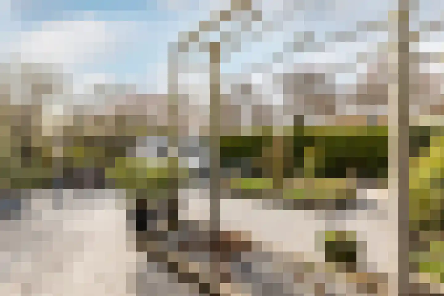 Karekietlaan 3 Oostvoorne thumbnail 42