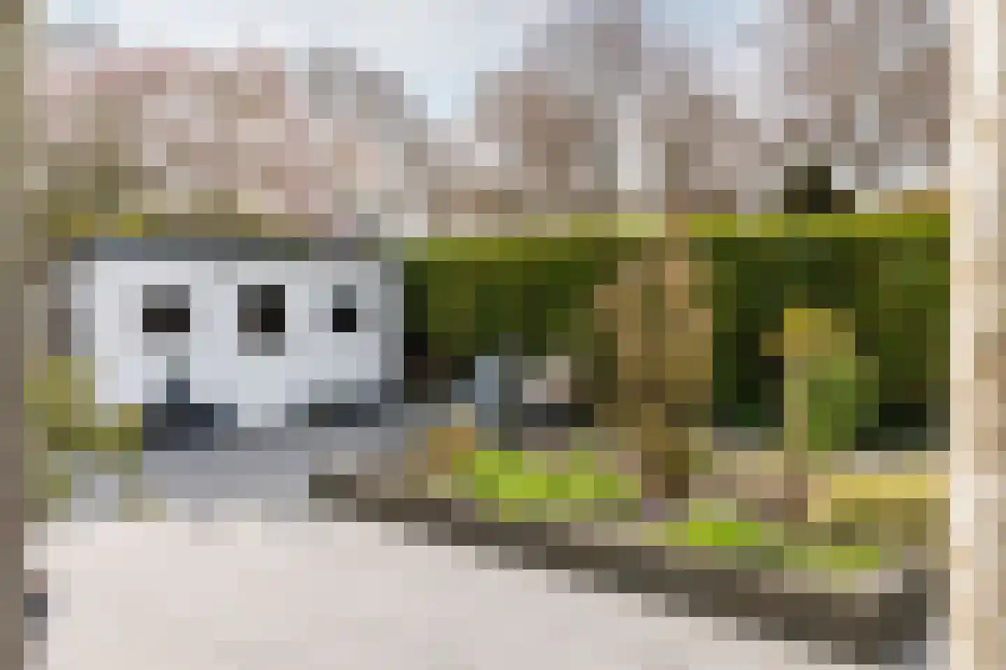 Karekietlaan 3 Oostvoorne thumbnail 43