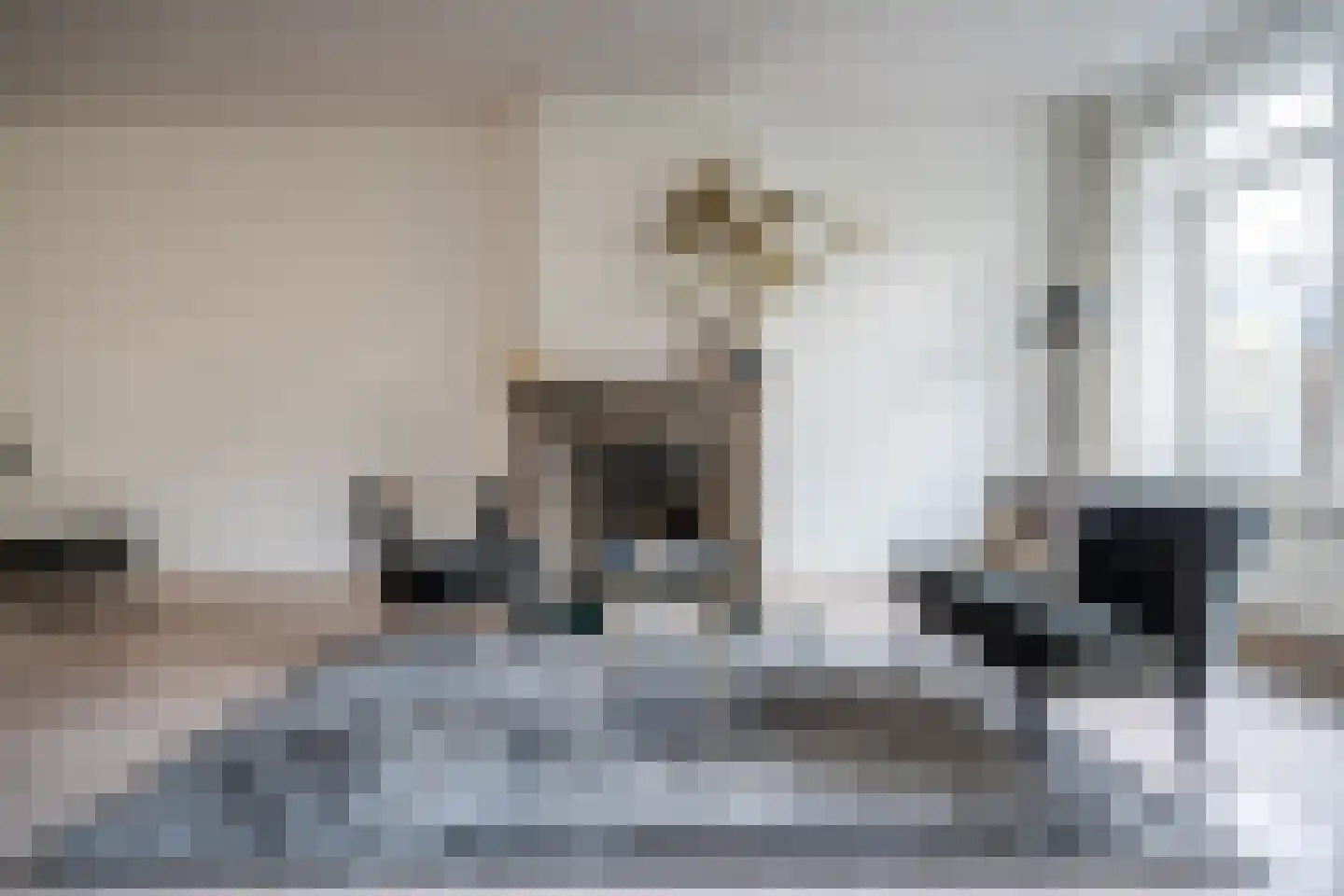 Karekietlaan 9 Leidschendam thumbnail 10