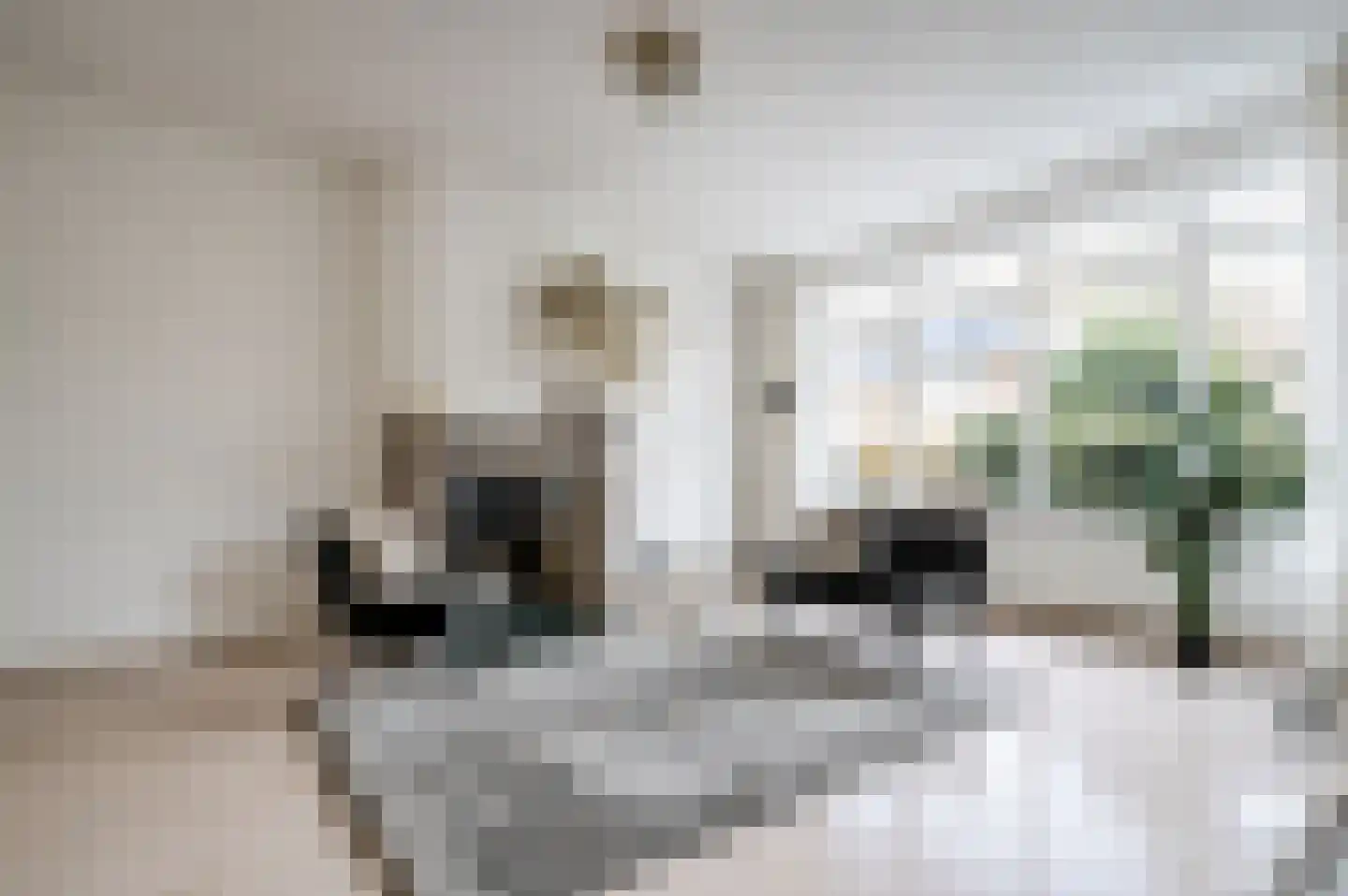 Karekietlaan 9 Leidschendam thumbnail 10
