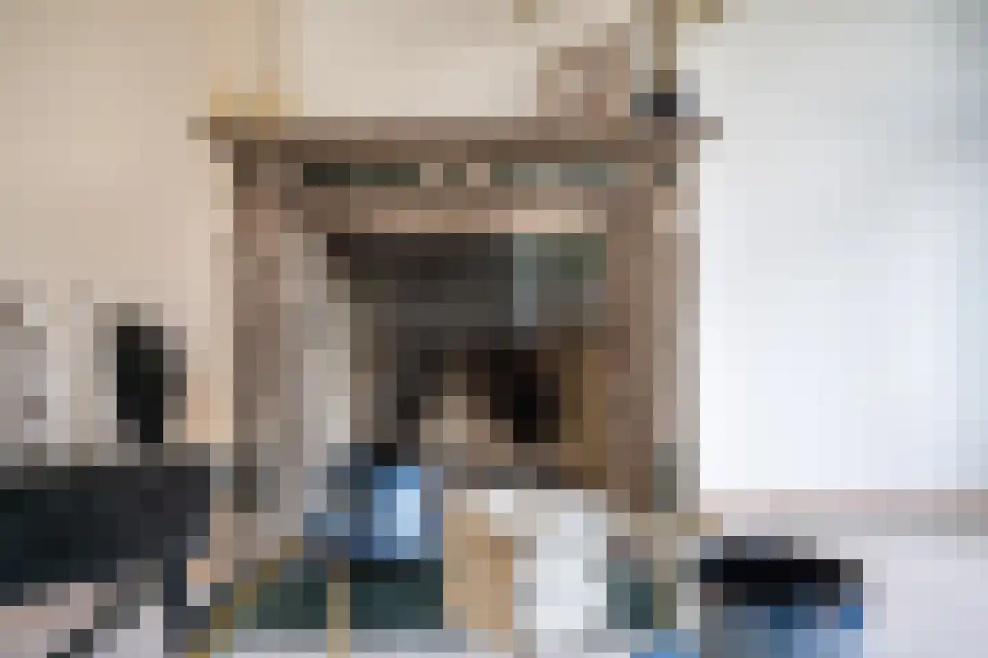 Karekietlaan 9 Leidschendam thumbnail 11