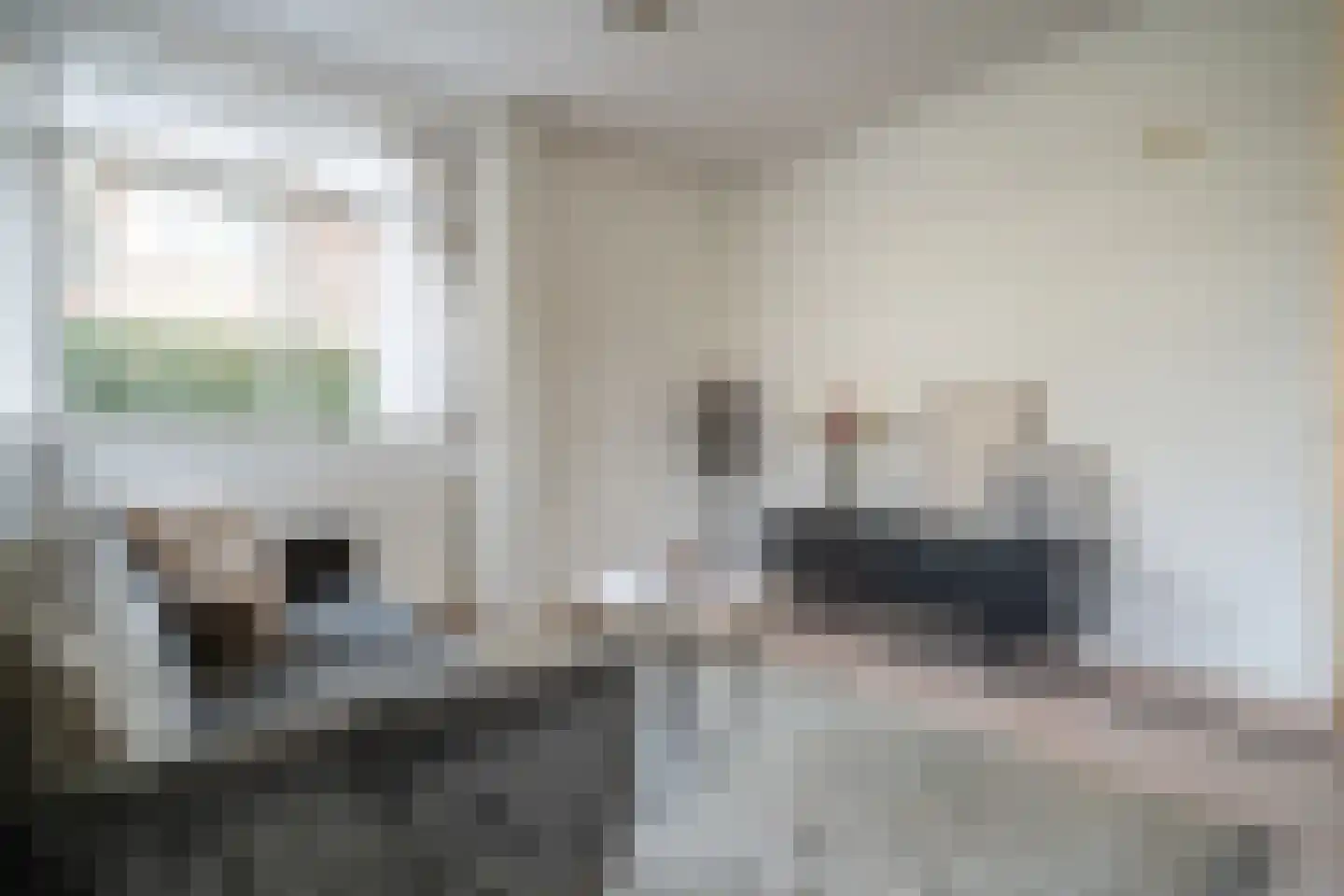 Karekietlaan 9 Leidschendam thumbnail 15