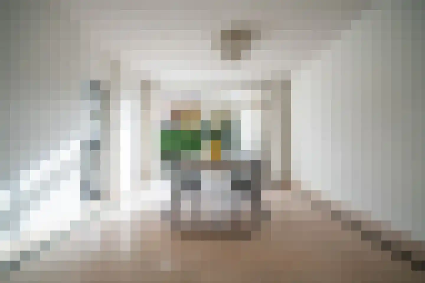 Karekietlaan 9 Leidschendam thumbnail 17