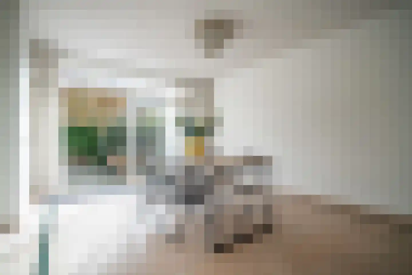 Karekietlaan 9 Leidschendam thumbnail 18