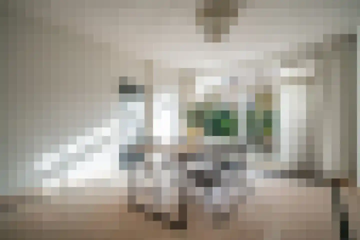 Karekietlaan 9 Leidschendam thumbnail 19