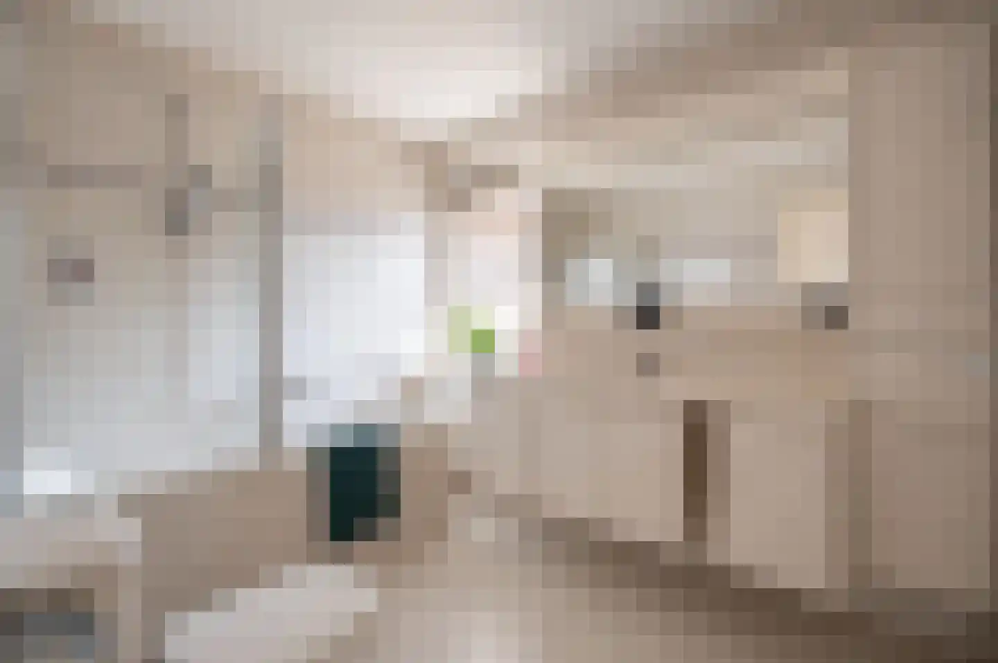 Karekietlaan 9 Leidschendam thumbnail 20
