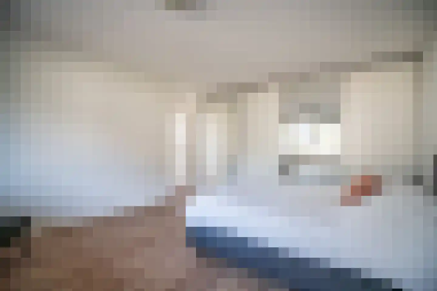 Karekietlaan 9 Leidschendam thumbnail 22