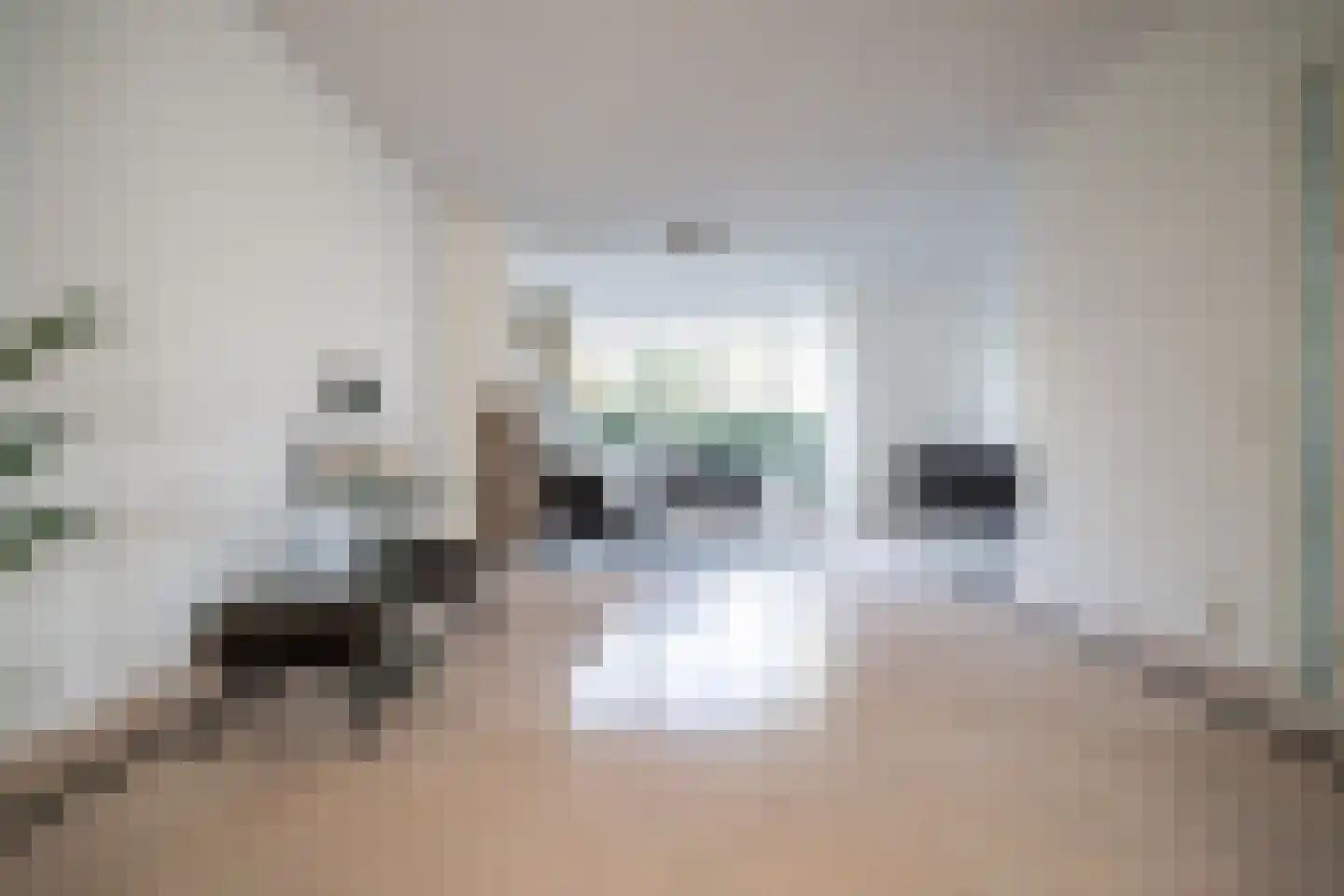 Karekietlaan 9 Leidschendam thumbnail 23