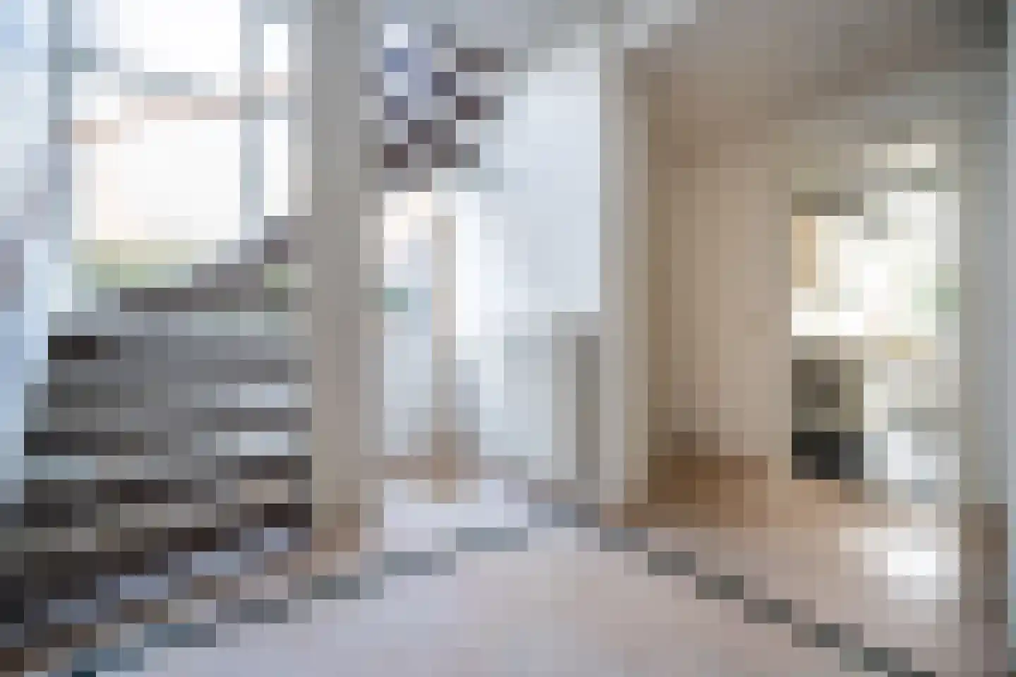 Karekietlaan 9 Leidschendam thumbnail 31