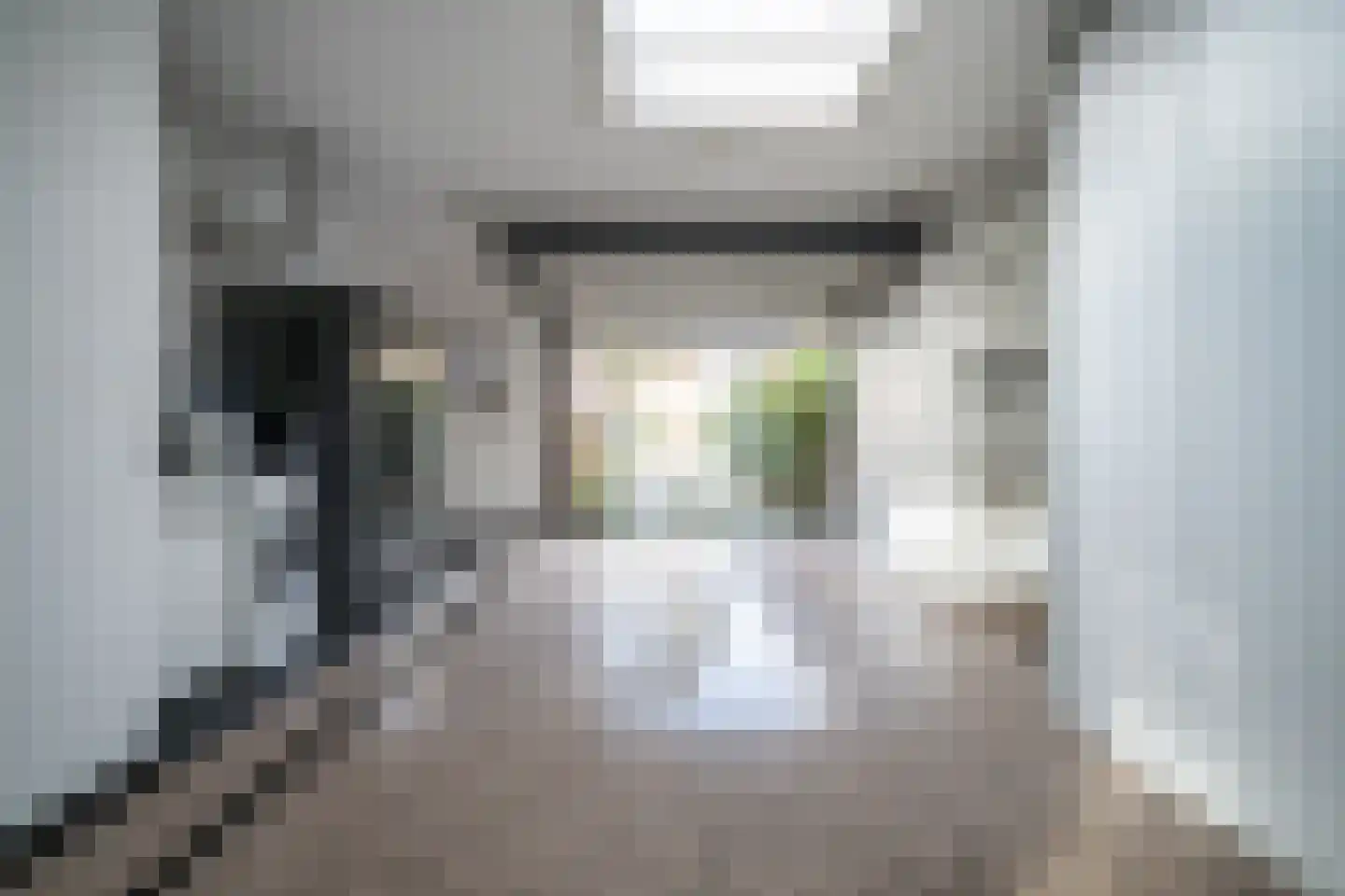 Karekietlaan 9 Leidschendam thumbnail 33