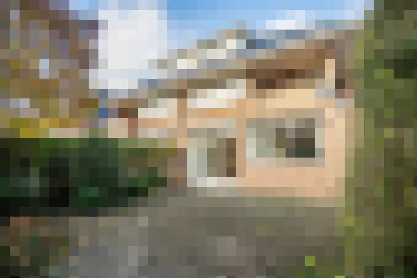 Karekietlaan 9 Leidschendam thumbnail 34
