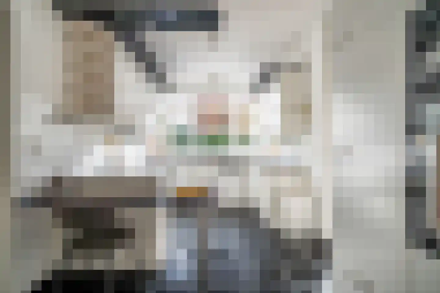 Karekietlaan 9 Leidschendam thumbnail 34