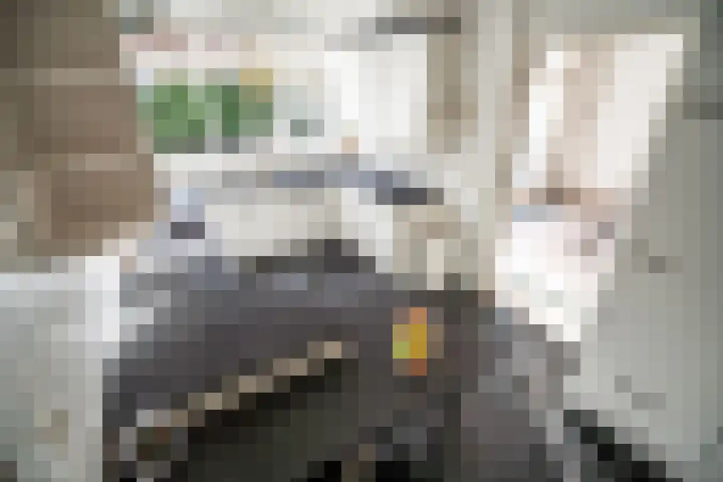Karekietlaan 9 Leidschendam thumbnail 35