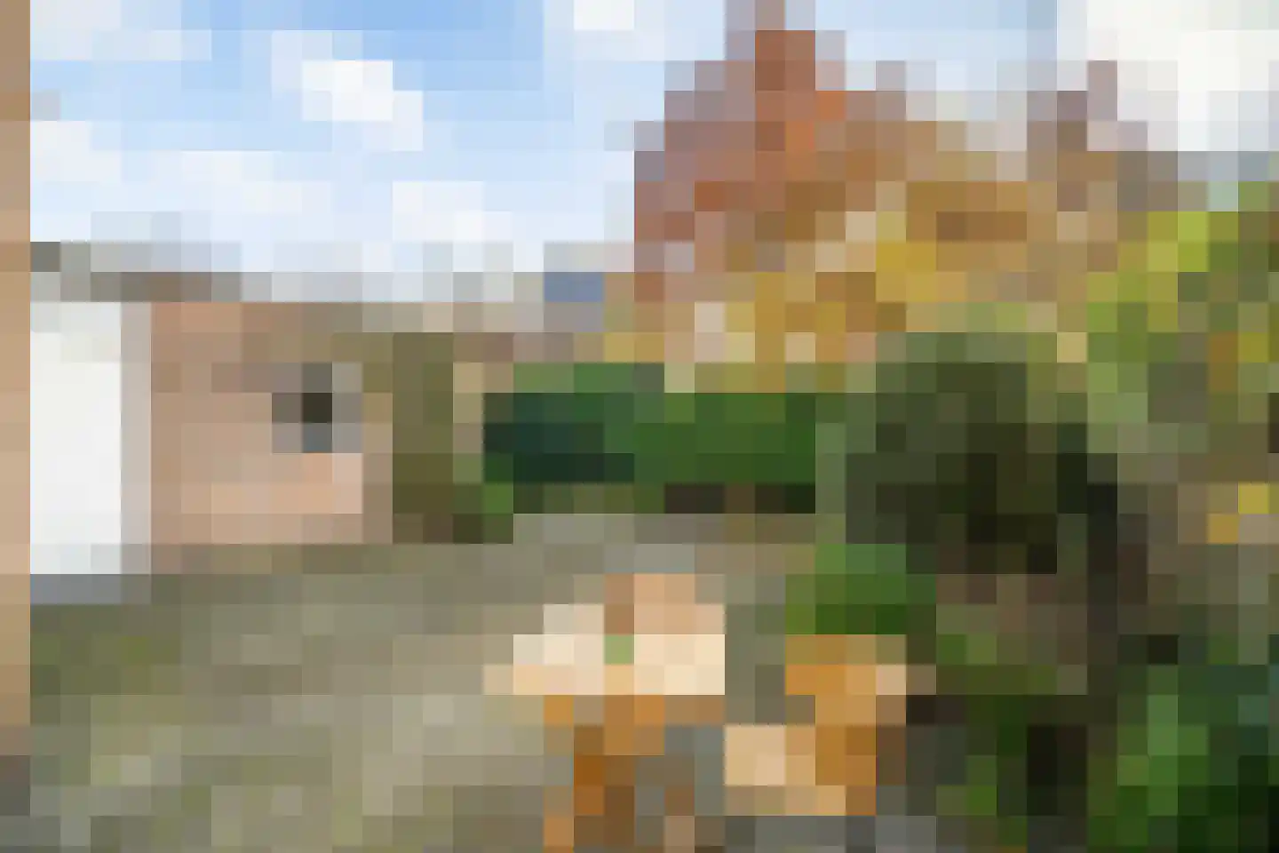 Karekietlaan 9 Leidschendam thumbnail 35