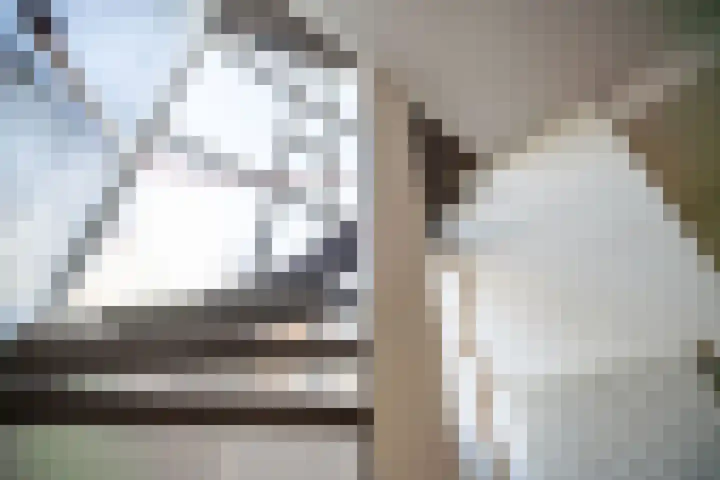 Karekietlaan 9 Leidschendam thumbnail 42