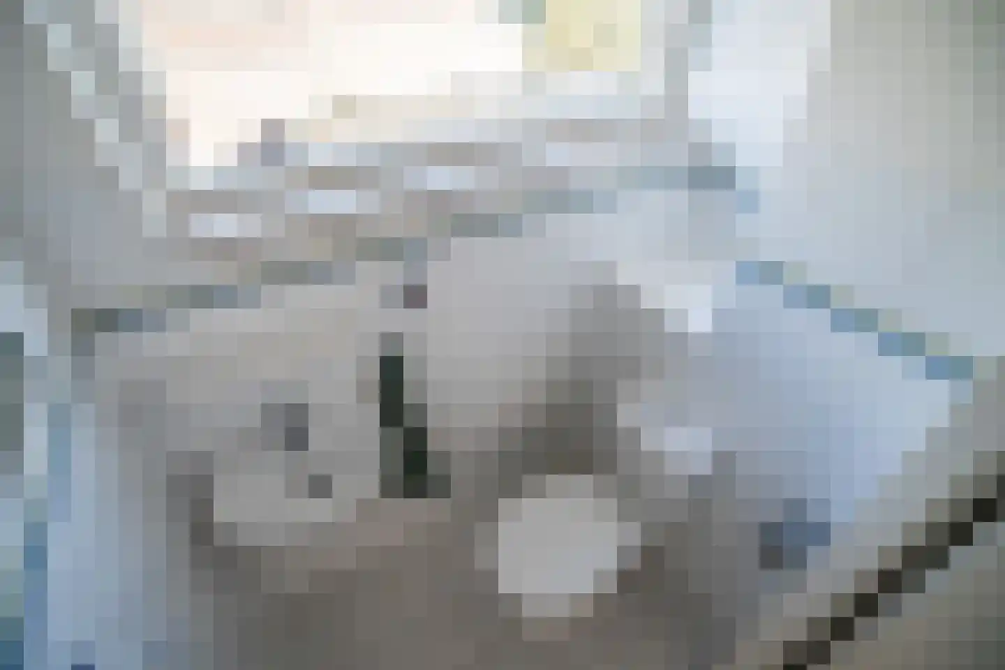 Karekietlaan 9 Leidschendam thumbnail 55