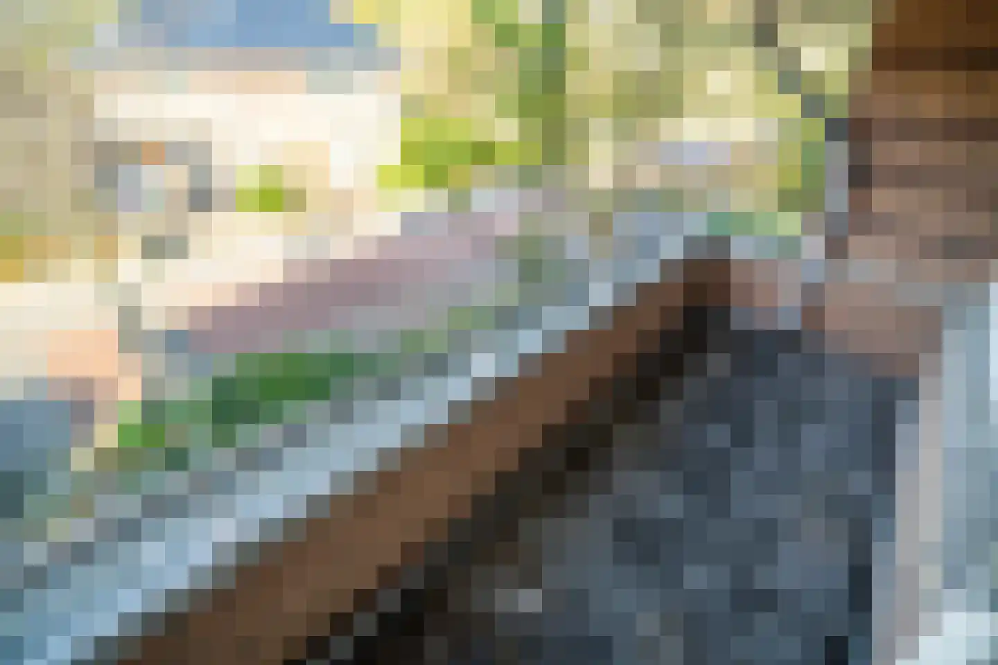 Karekietlaan 9 Leidschendam thumbnail 63