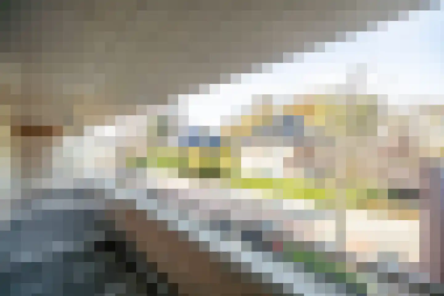 Karekietlaan 9 Leidschendam thumbnail 64