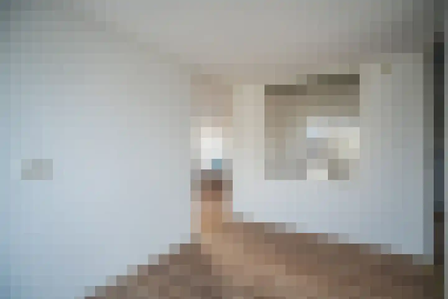 Karekietlaan 9 Leidschendam thumbnail 70