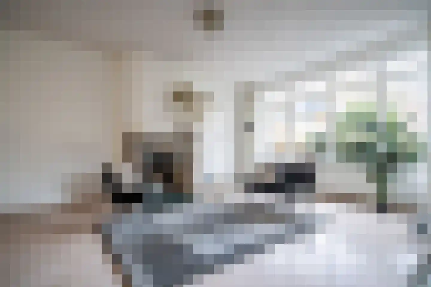 Karekietlaan 9 Leidschendam thumbnail 8