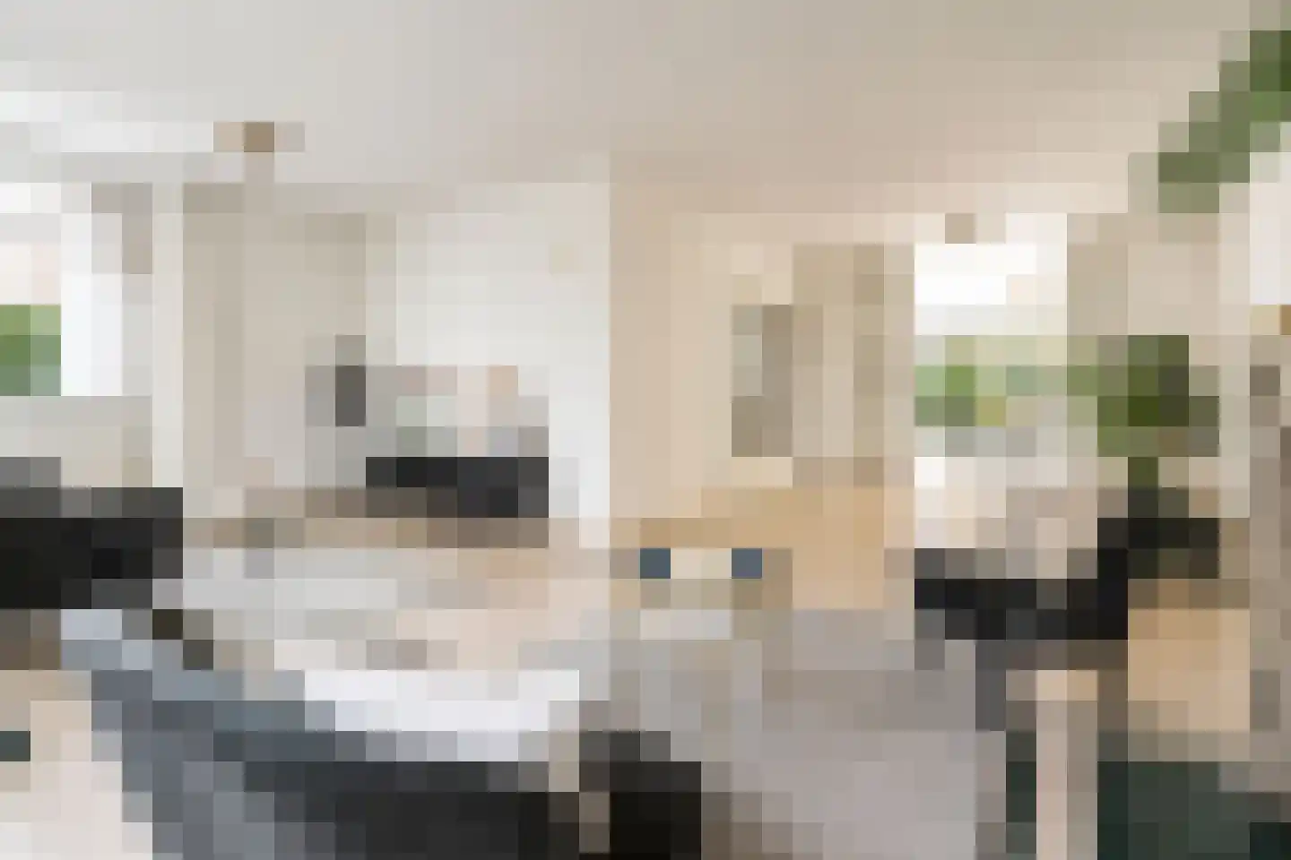Karekietlaan 9 Leidschendam thumbnail 8