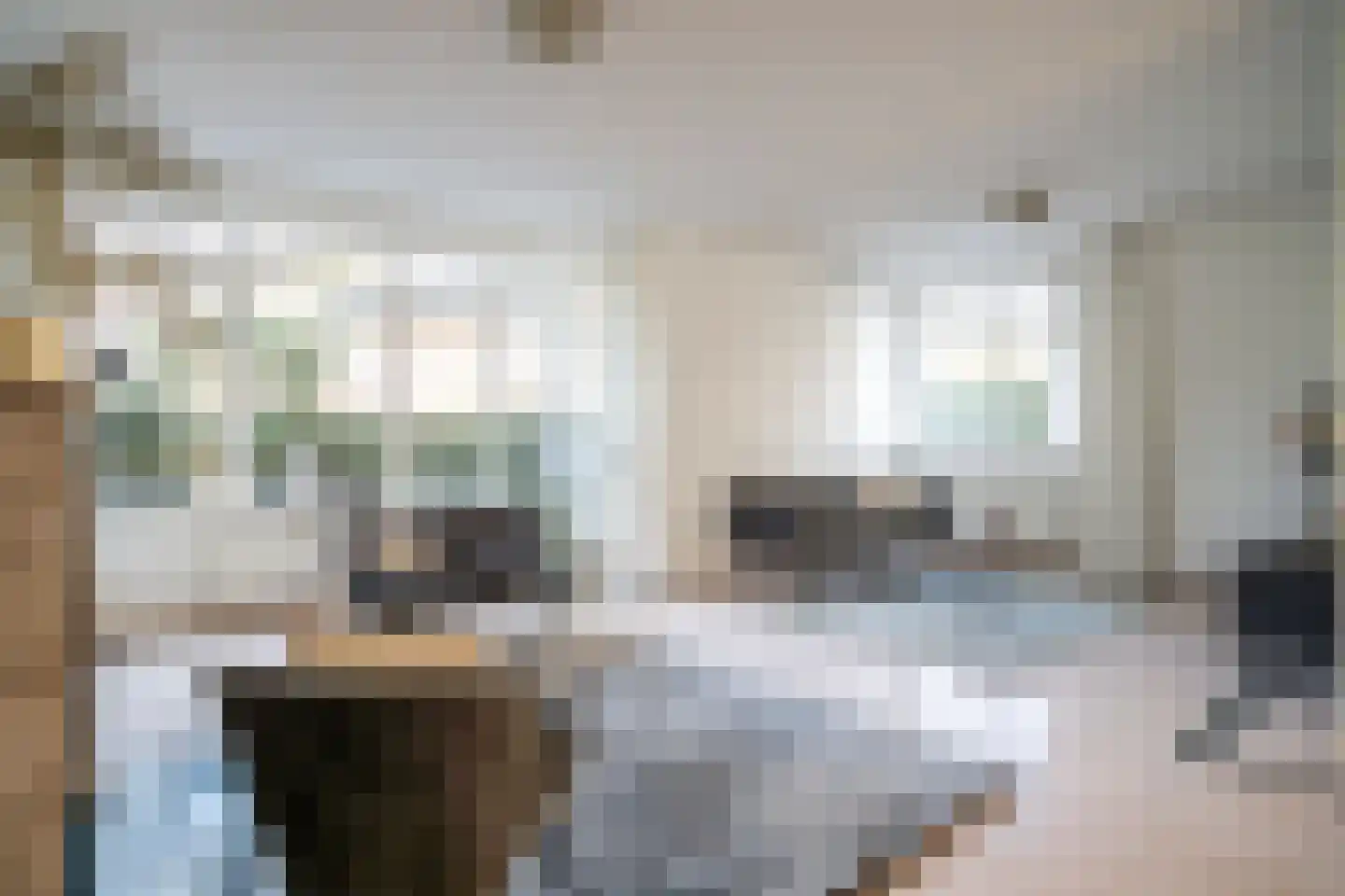 Karekietlaan 9 Leidschendam thumbnail 9