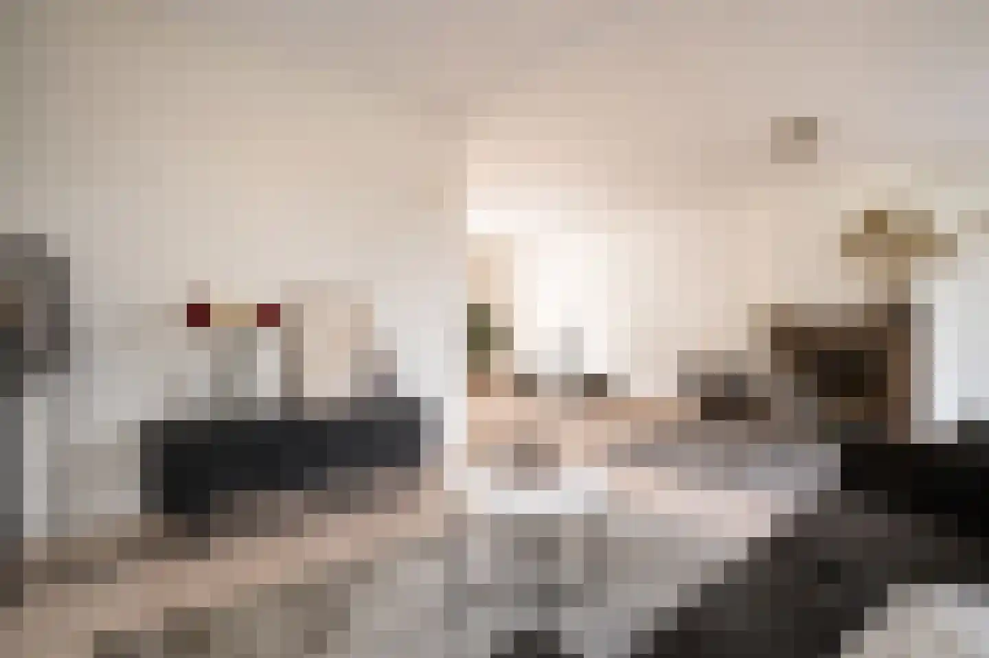 Karekietlaan 9 Leidschendam thumbnail 9