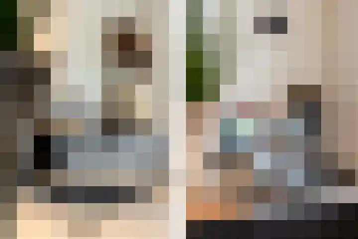 Karekietlaan 9 Oostvoorne thumbnail 12
