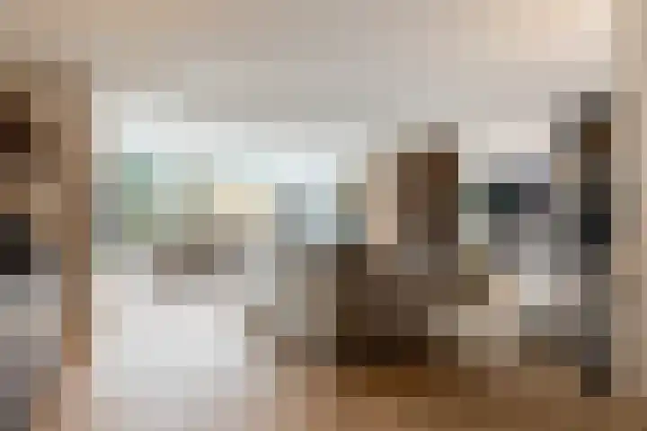 Karekietlaan 9 Oostvoorne foto 2