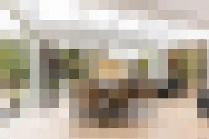 Karekietlaan 9 Oostvoorne thumbnail 21