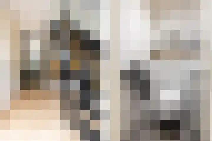 Karekietlaan 9 Oostvoorne thumbnail 26
