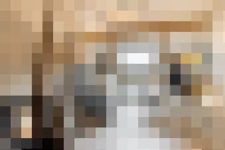 Karekietlaan 9 Oostvoorne thumbnail 36