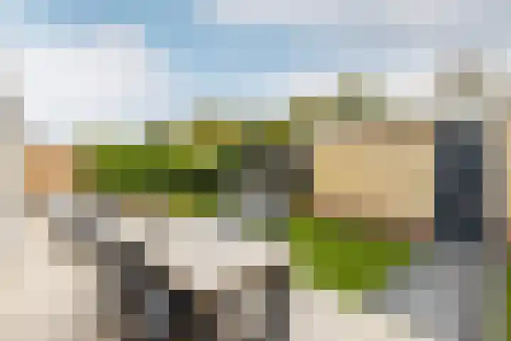 Karekietlaan 9 Oostvoorne thumbnail 42