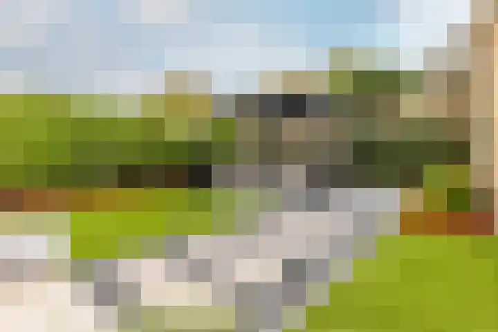 Karekietlaan 9 Oostvoorne thumbnail 43