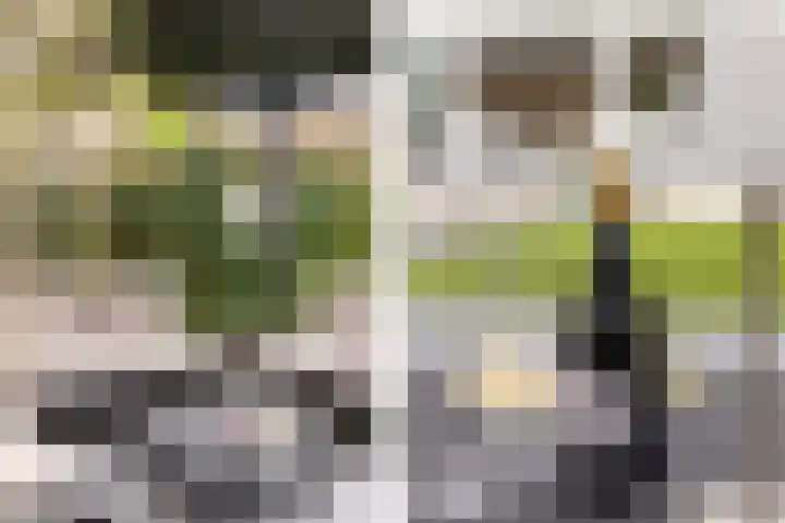 Karekietlaan 9 Oostvoorne thumbnail 46