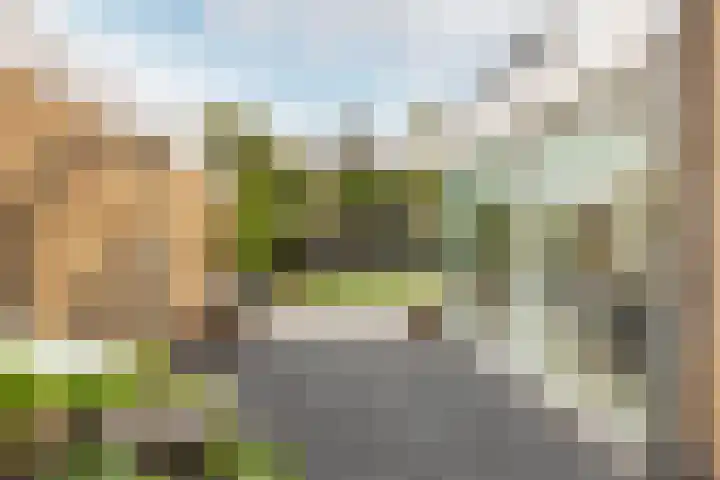 Karekietlaan 9 Oostvoorne thumbnail 47