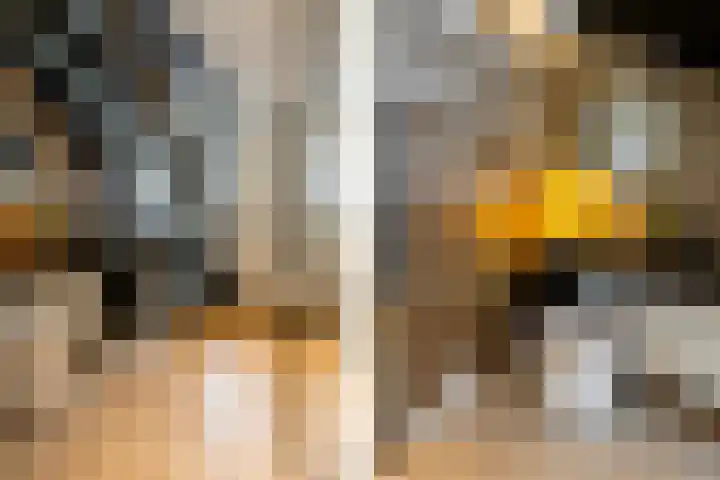 Karekietlaan 9 Oostvoorne thumbnail 9