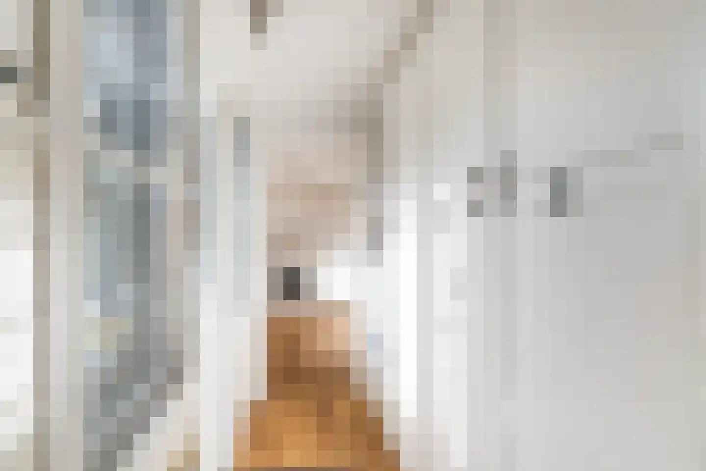 Karekietstraat 1 Gouda thumbnail 19