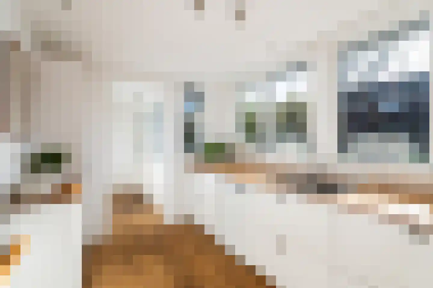 Karekietstraat 1 Gouda thumbnail 23