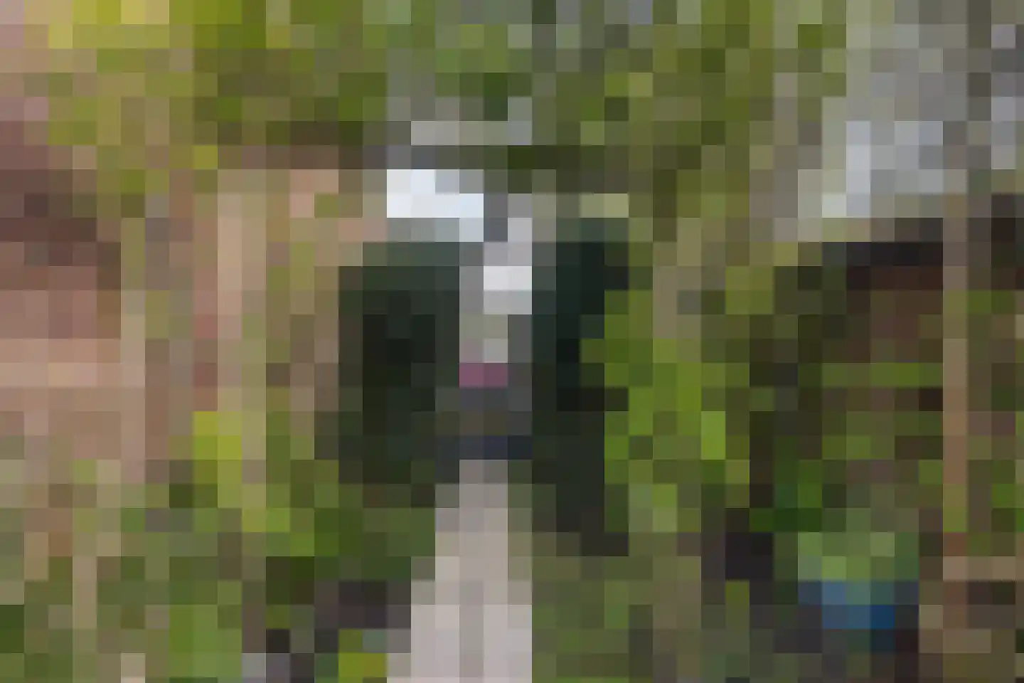 Karekietstraat 1 Gouda thumbnail 32