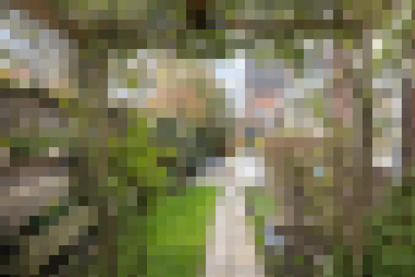 Karekietstraat 1 Gouda thumbnail 33