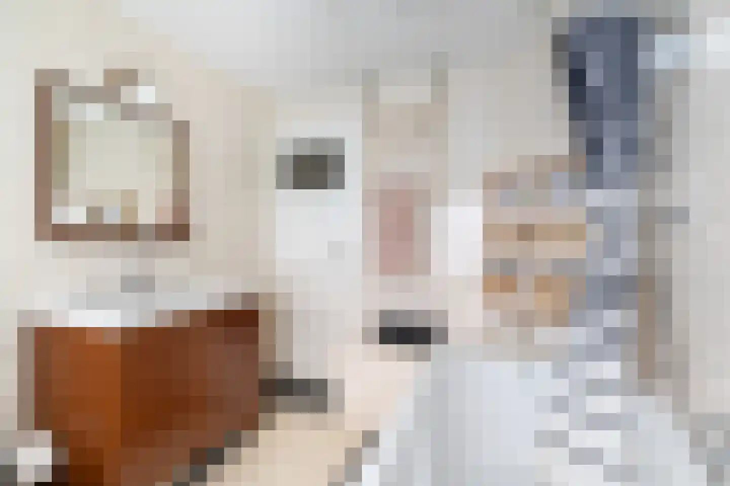 Karekietstraat 1 Gouda thumbnail 39