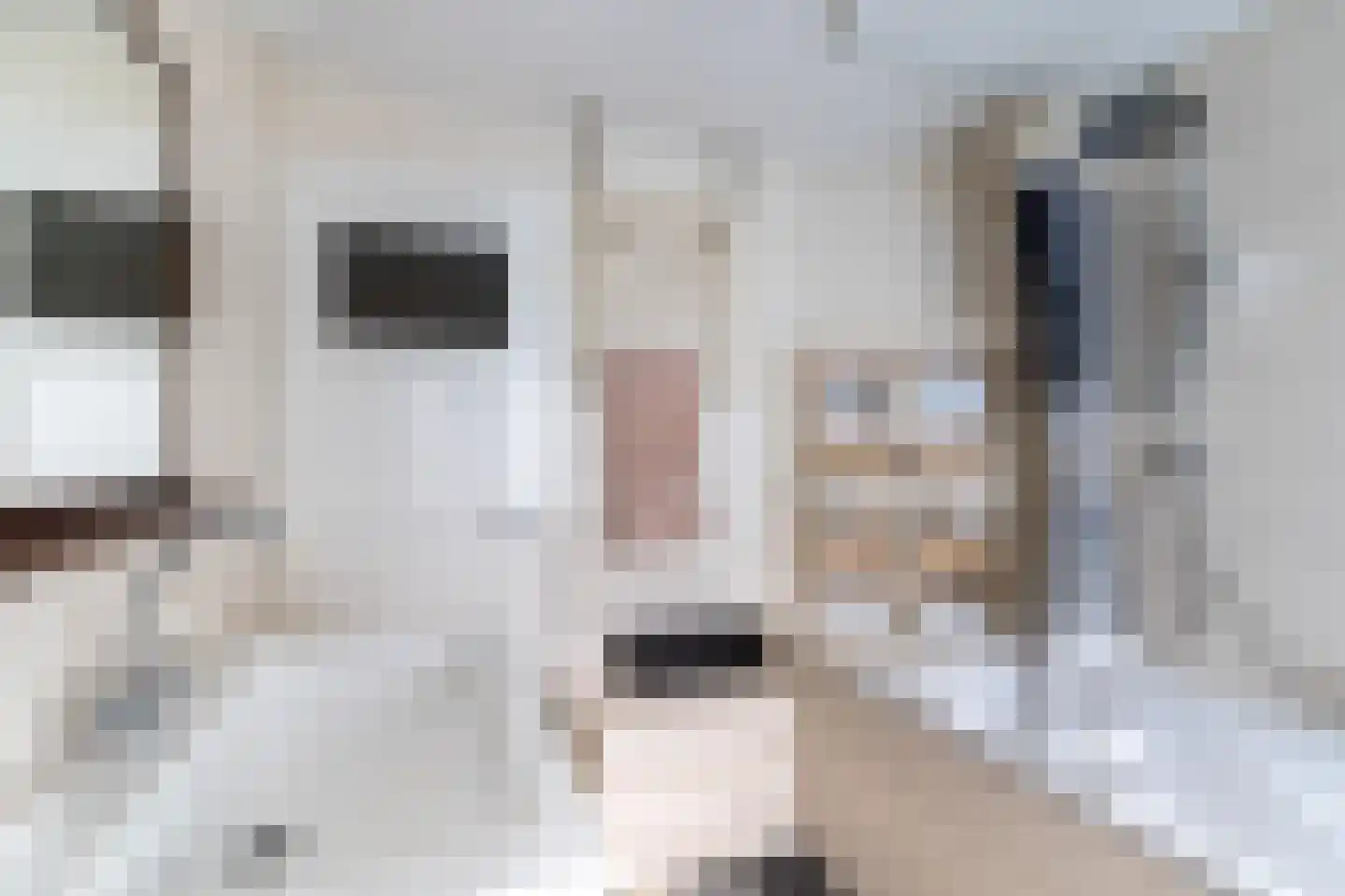 Karekietstraat 1 Gouda thumbnail 43