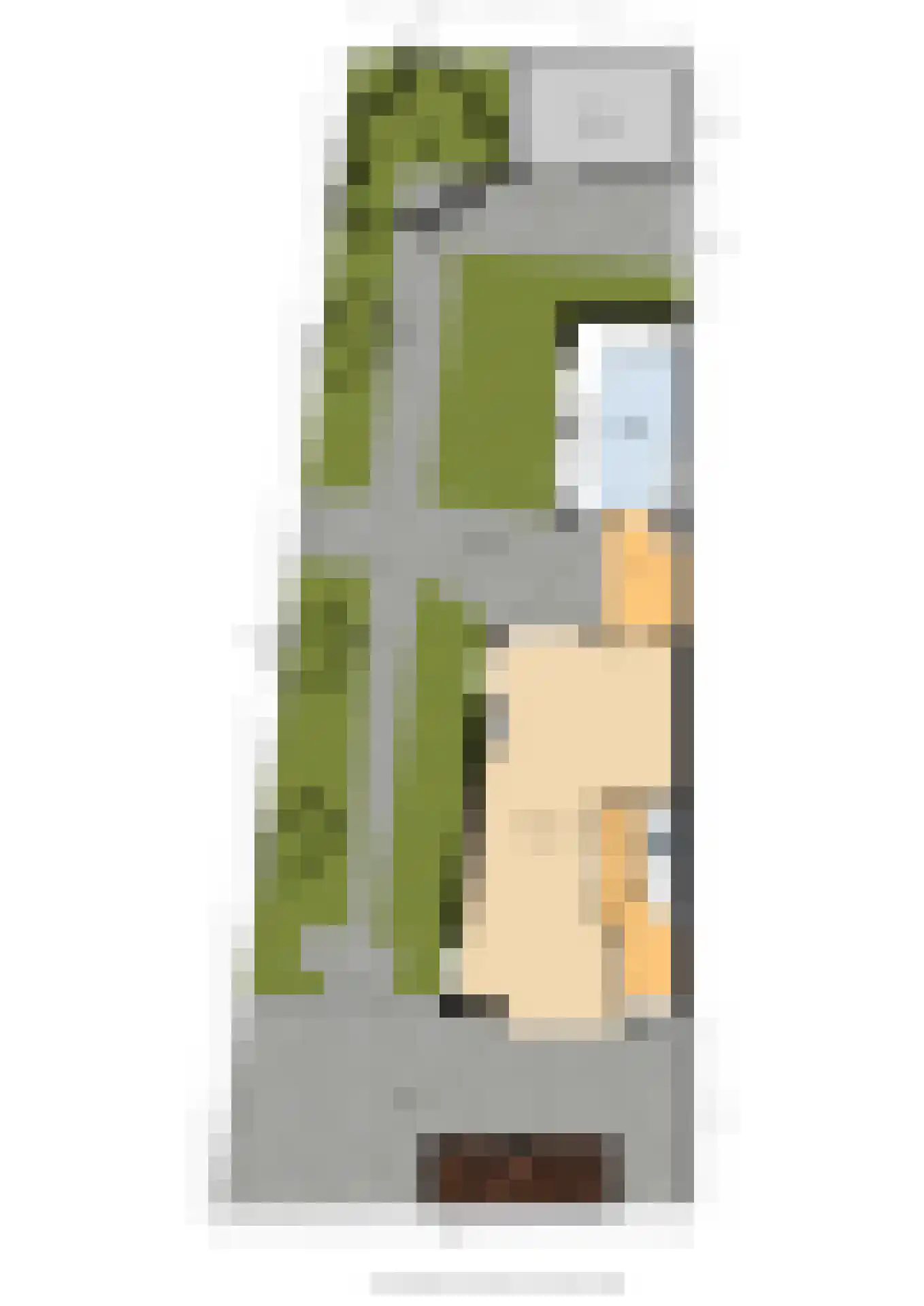 Karekietstraat 1 Gouda thumbnail 57